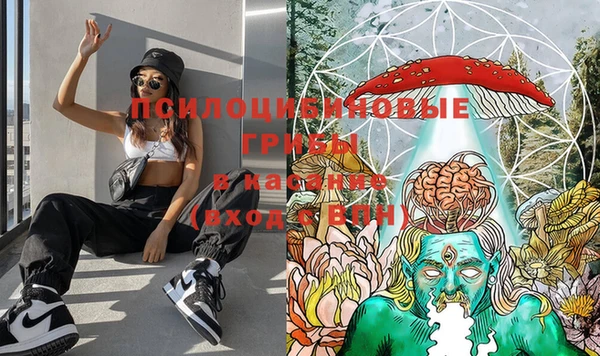 таблы Лабытнанги