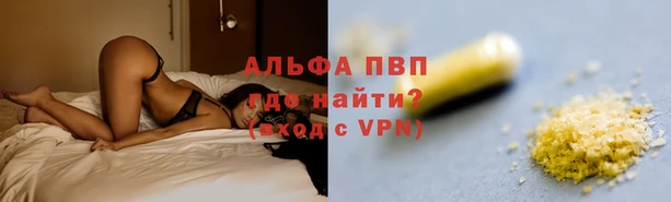 гидра Ладушкин