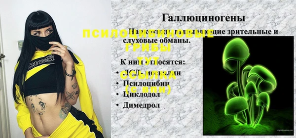 PSILOCYBIN Лихославль