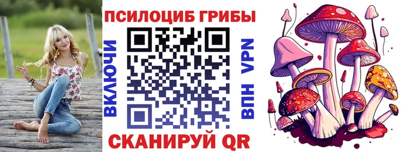 Купить  Инта  Псилоцибиновые грибы Cubensis 